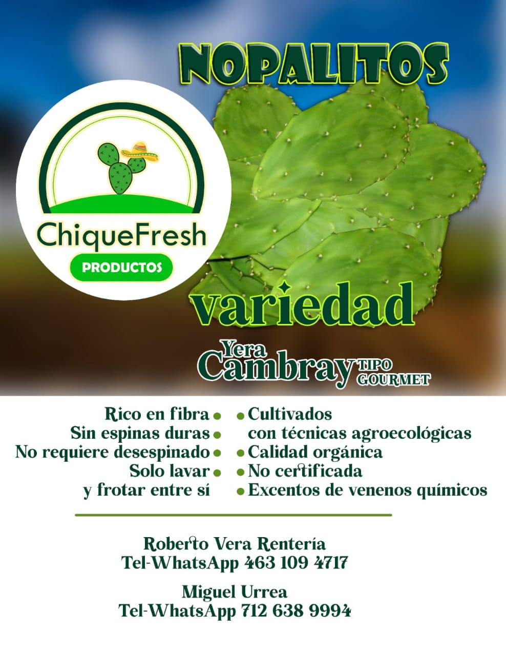 Nopal Cambray Premium