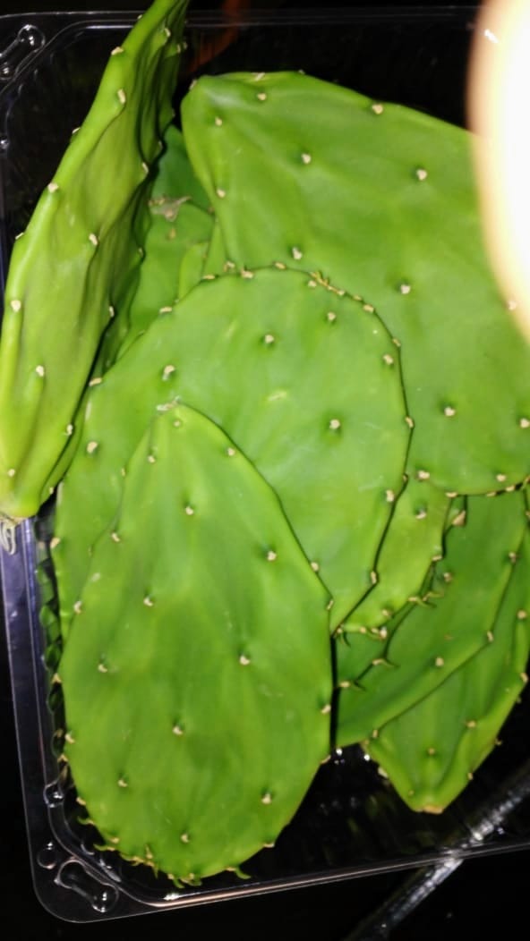 Nopal Fresco